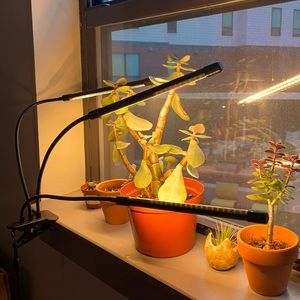 Plant Growth Light